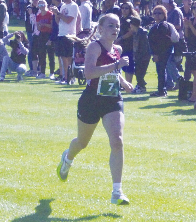 Alamosa boys second at regional meet The Center PostDispatch